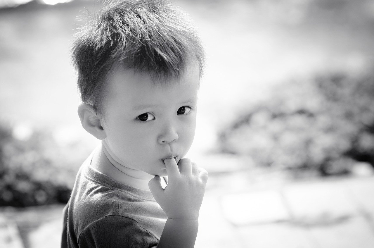 小英女儿的要吃漂亮饭记忆重现