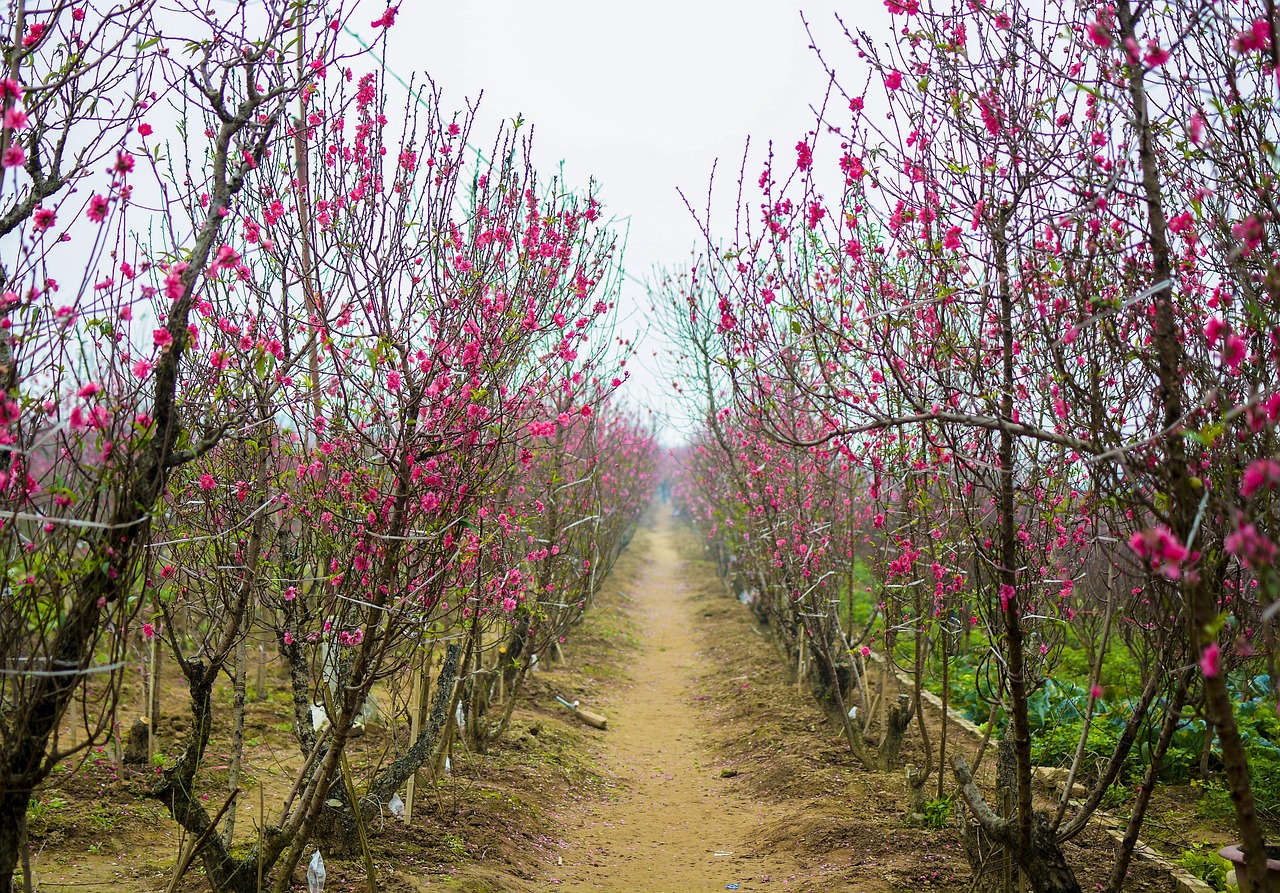 河北疫情新动态，新增90例背后的数据解读与防控策略