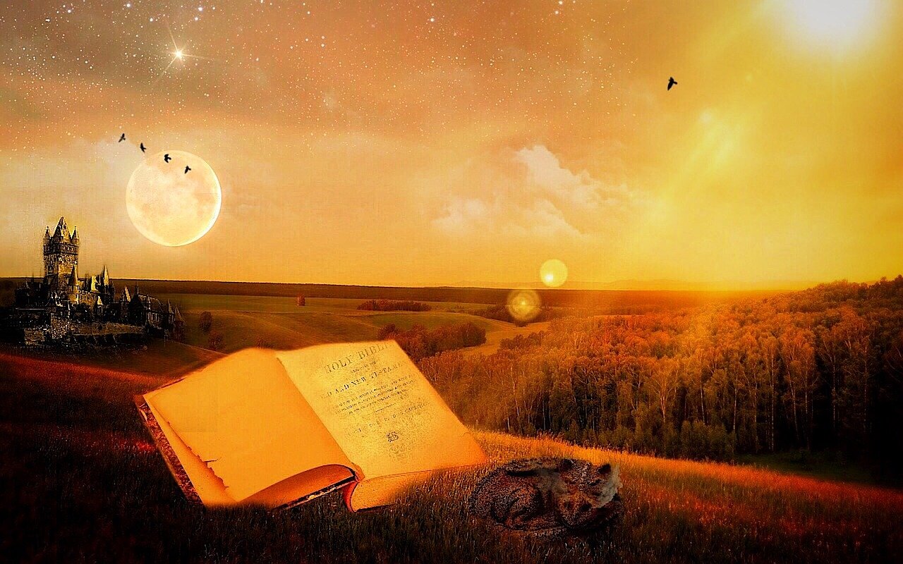 金融法的奥秘，保障财富与秩序的法律之盾