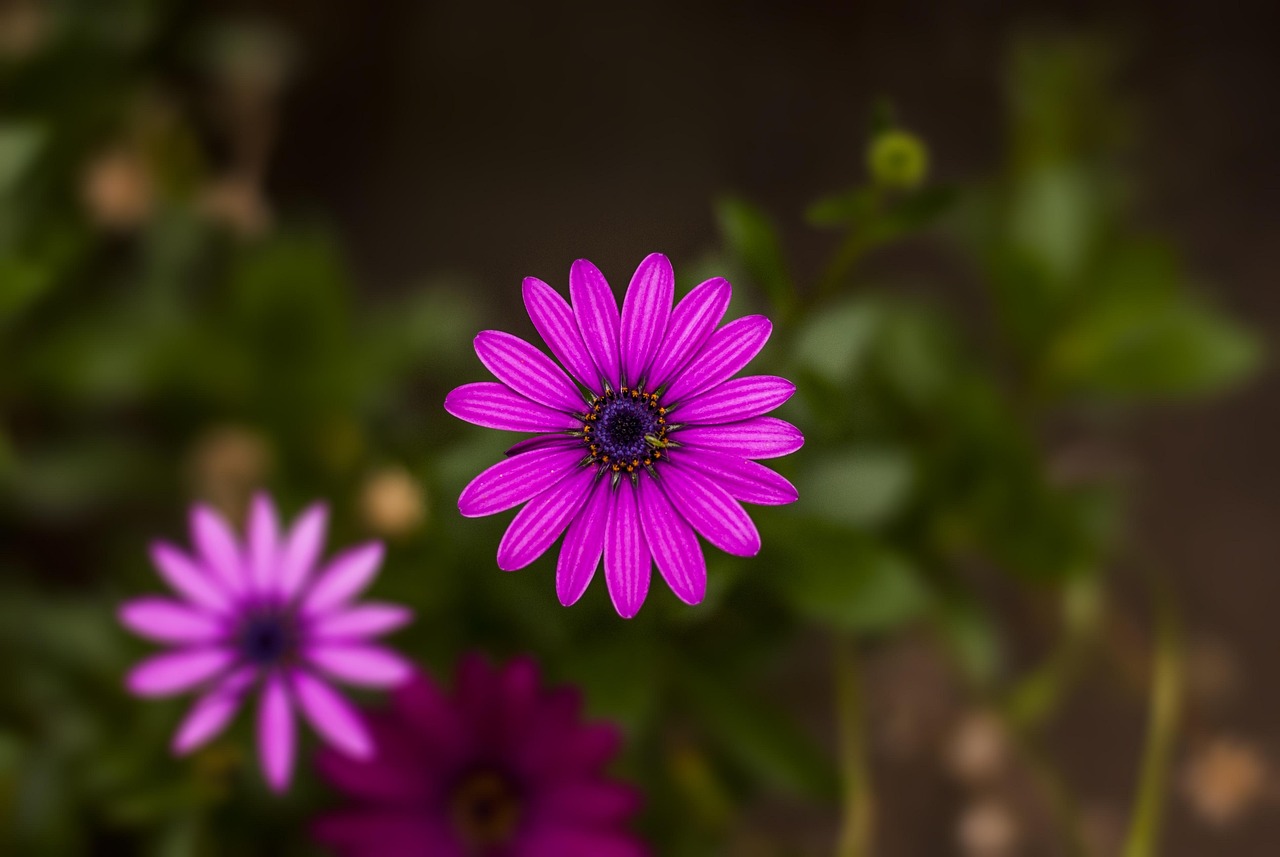 宝鸡市疫情最新动态,了解、预防与应对策略 宝鸡市疫情最新动态,了解、预防与应对策略