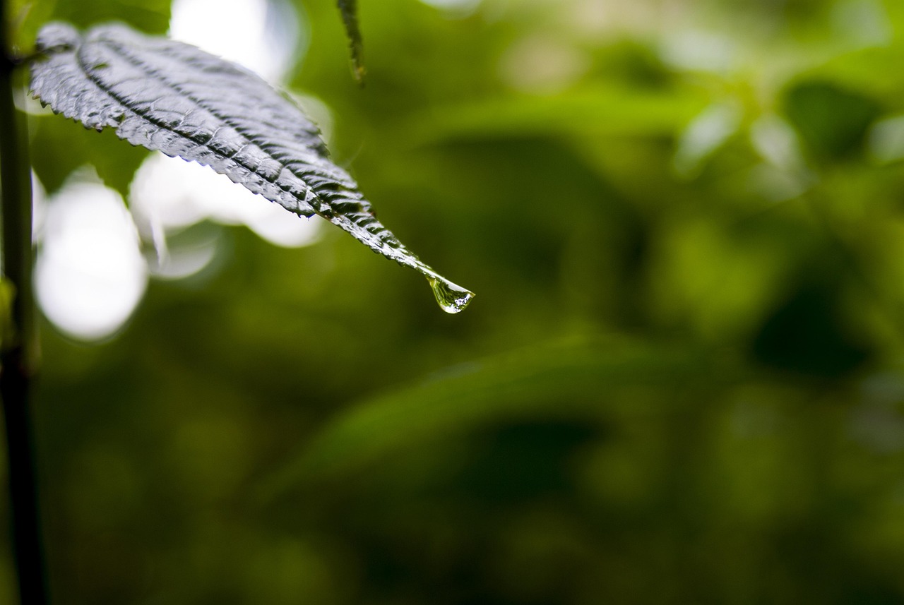射阳疫情最新动态,数据解读与防控措施解析 射阳疫情最新动态,数据解读与防控措施解析